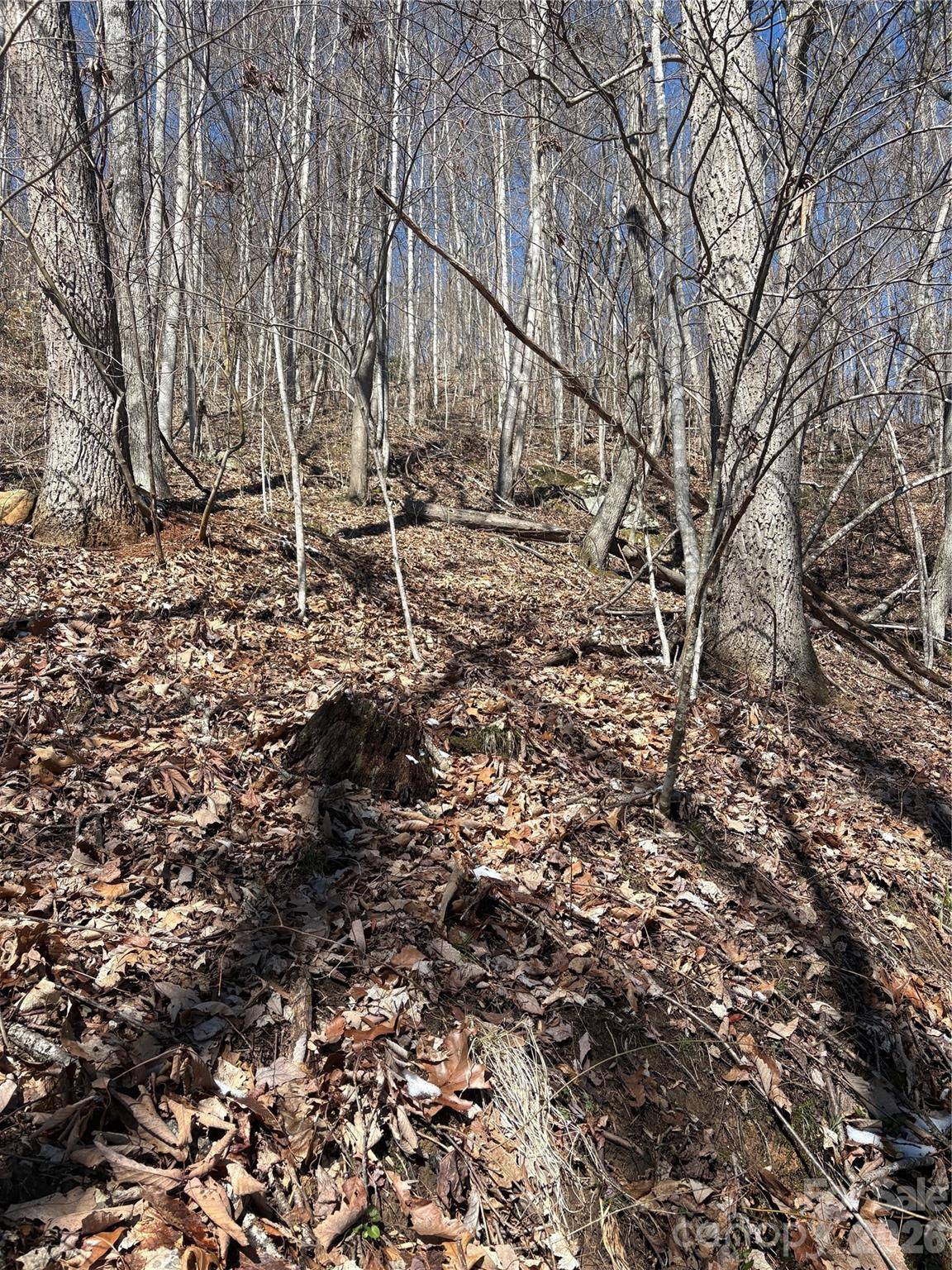344 Running Deer LN #71, Mars Hill, NC 28754
