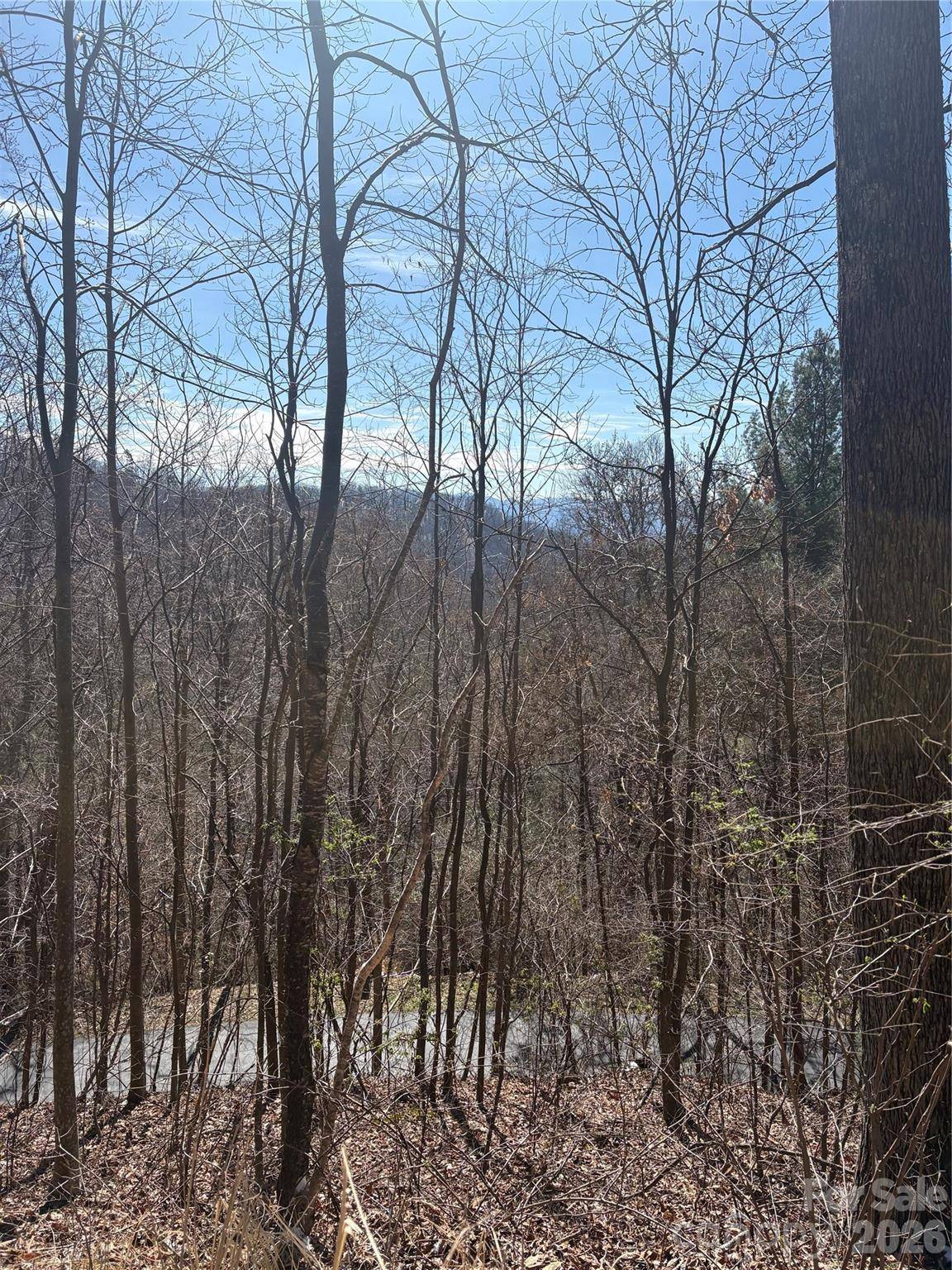 344 Running Deer LN #71, Mars Hill, NC 28754