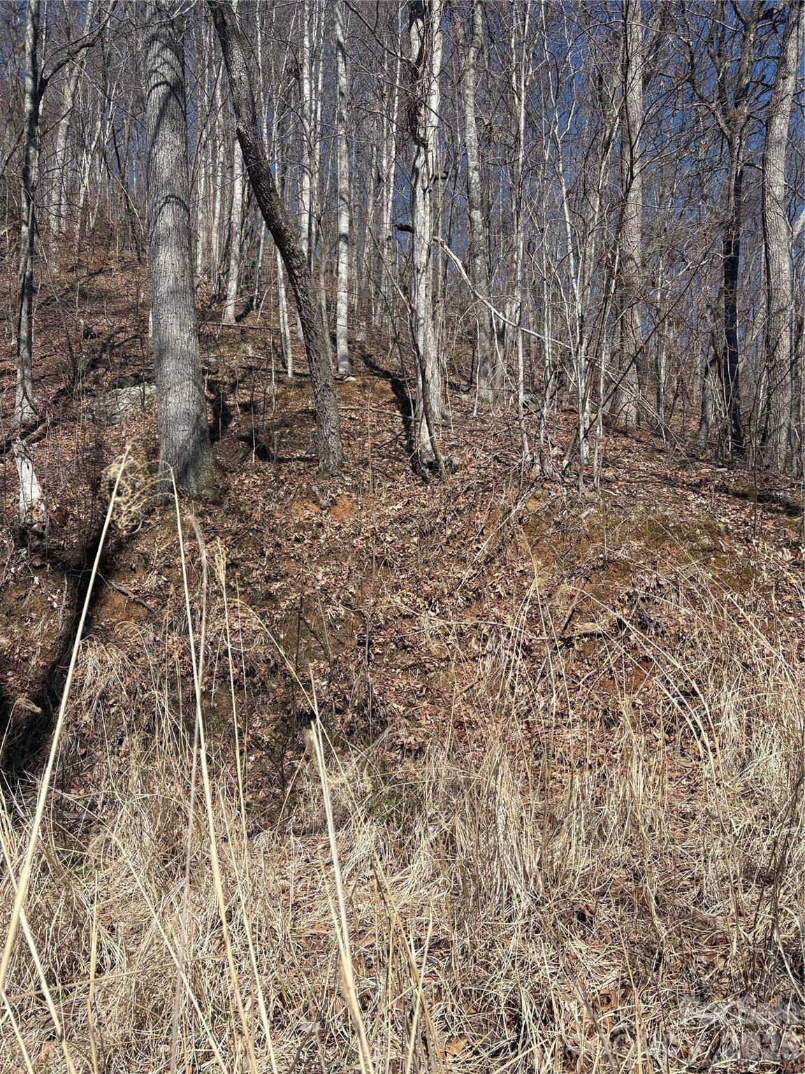 344 Running Deer LN #71, Mars Hill, NC 28754