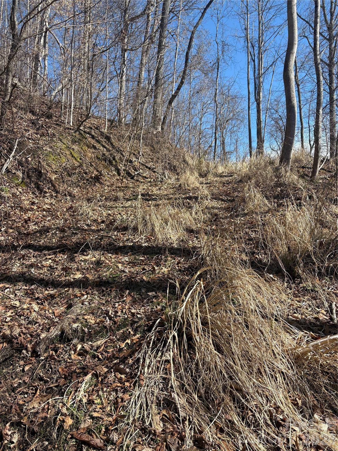 344 Running Deer LN #71, Mars Hill, NC 28754