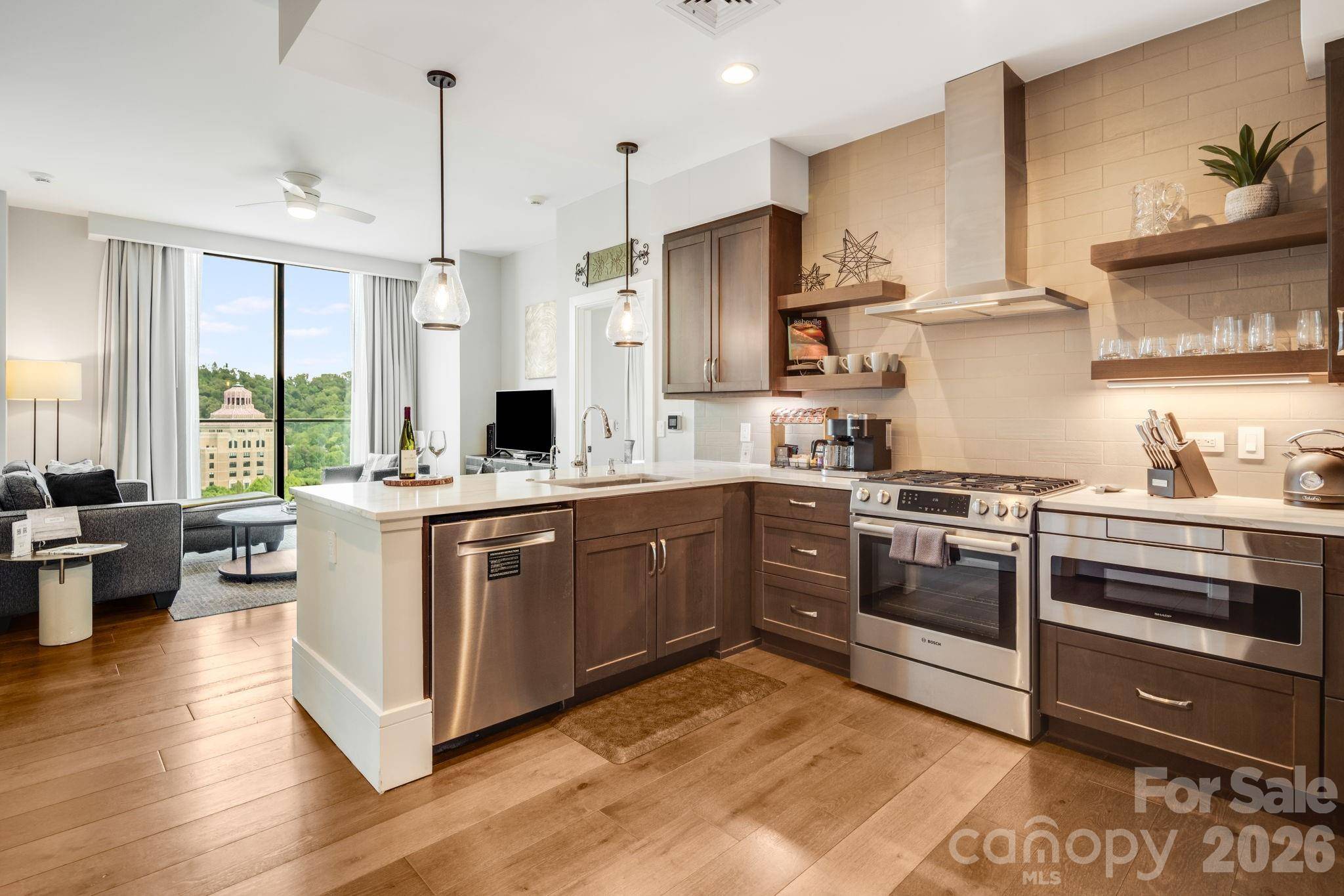 7 Patton AVE #1006, Asheville, NC 28801