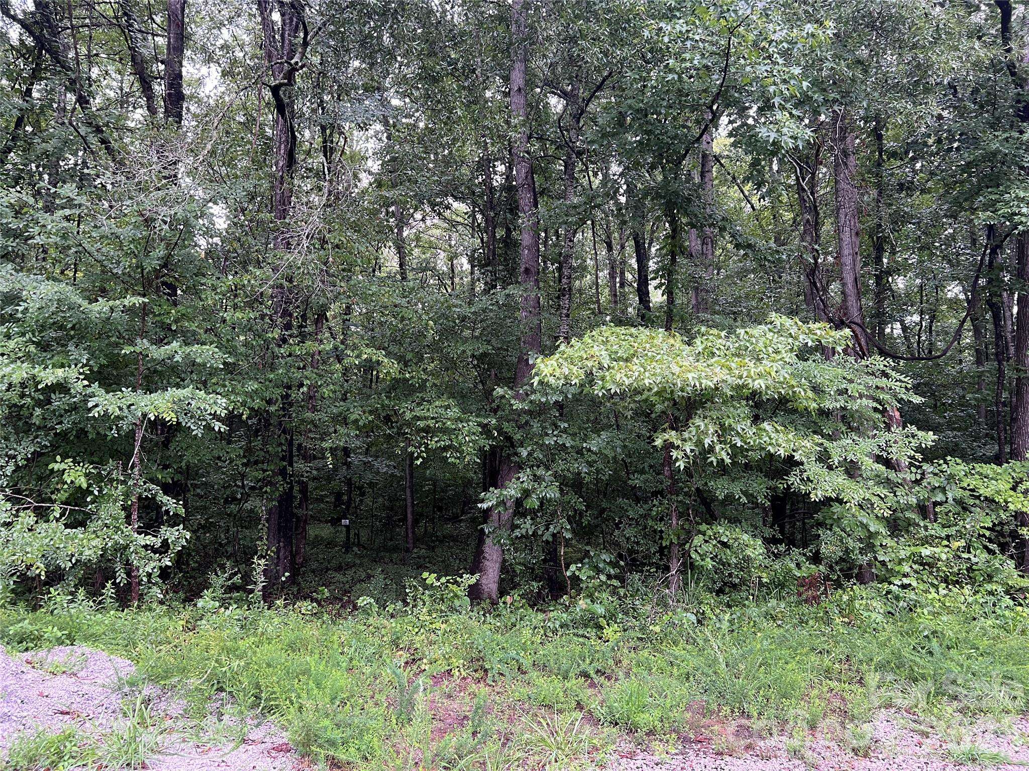 6 Wilderness LN #14, Lancaster, SC 29720