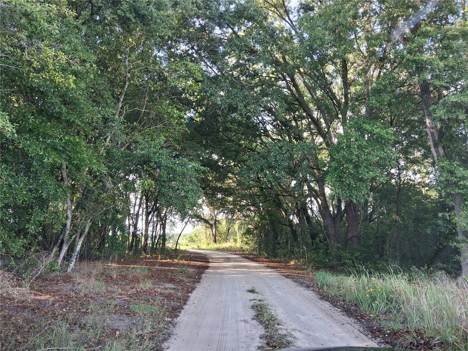 16451 FORREST LN, Groveland, FL 34736