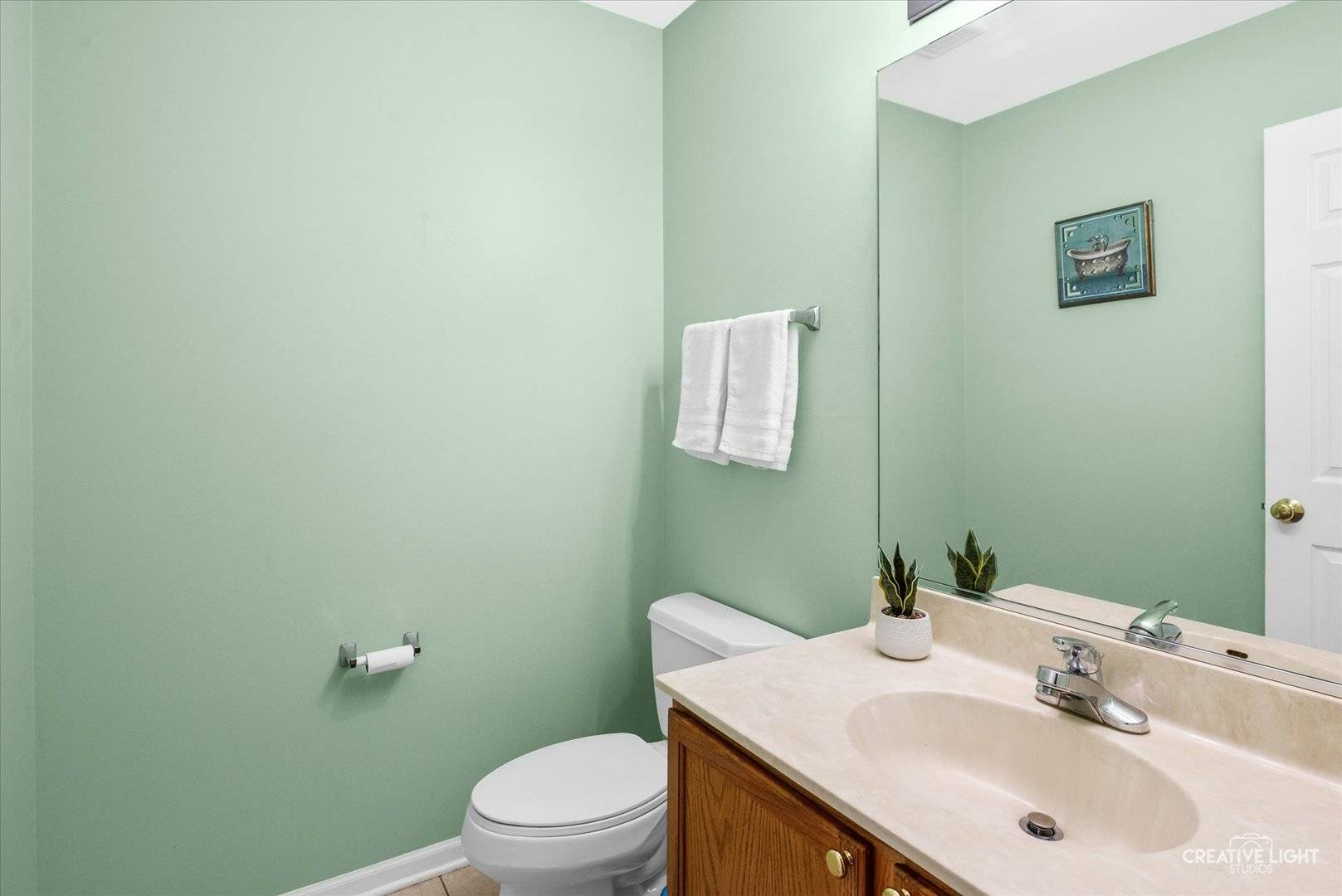 3250 Cool Springs CT #3250, Naperville, IL 60564