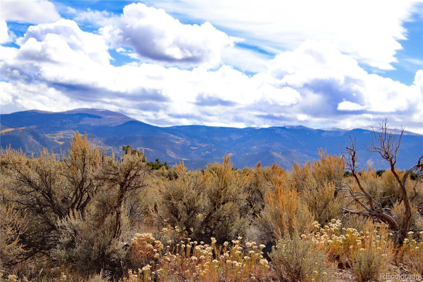 0 Wild Horse DR, San Luis, CO 81152