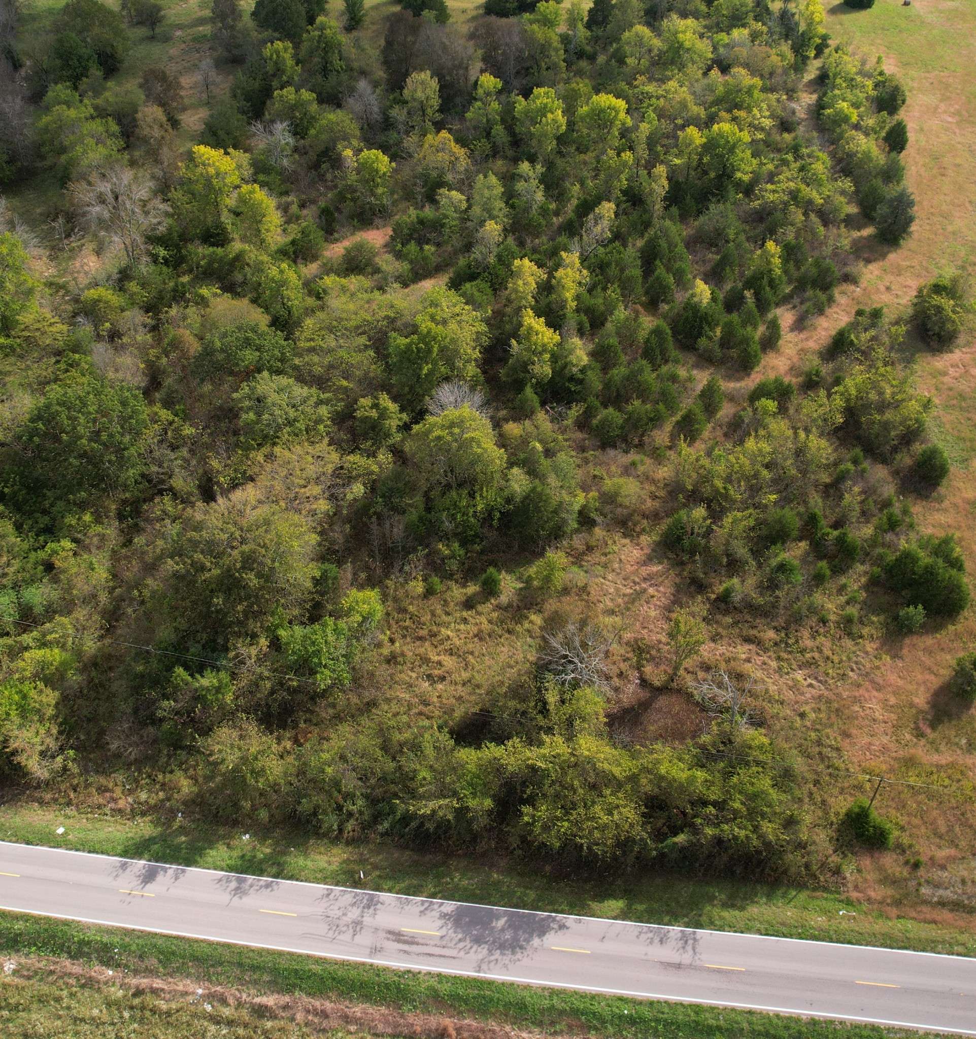 0 FINLEY BEECH, Lewisburg, TN 37091