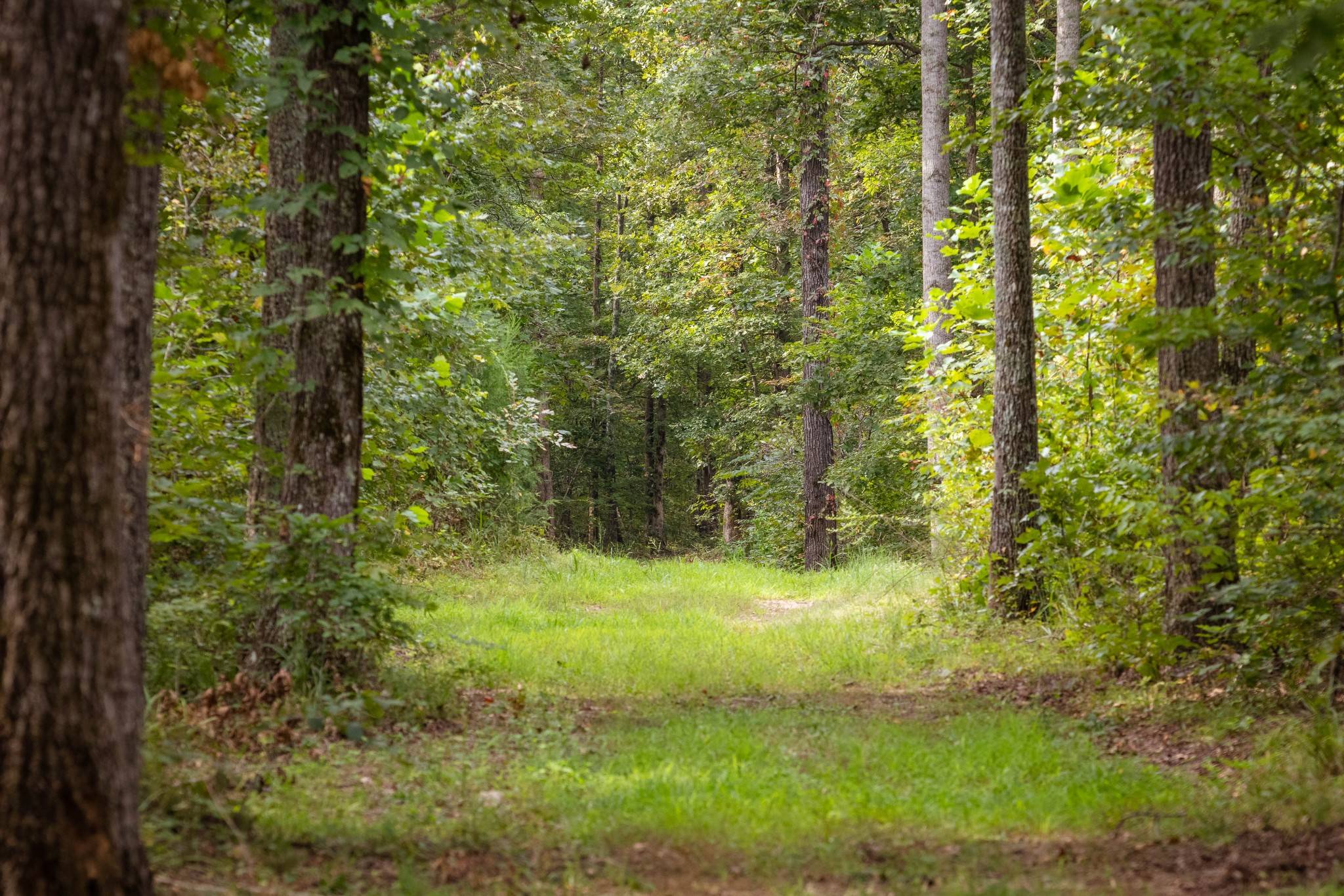 1 Ccc Road, Fairview, TN 37062