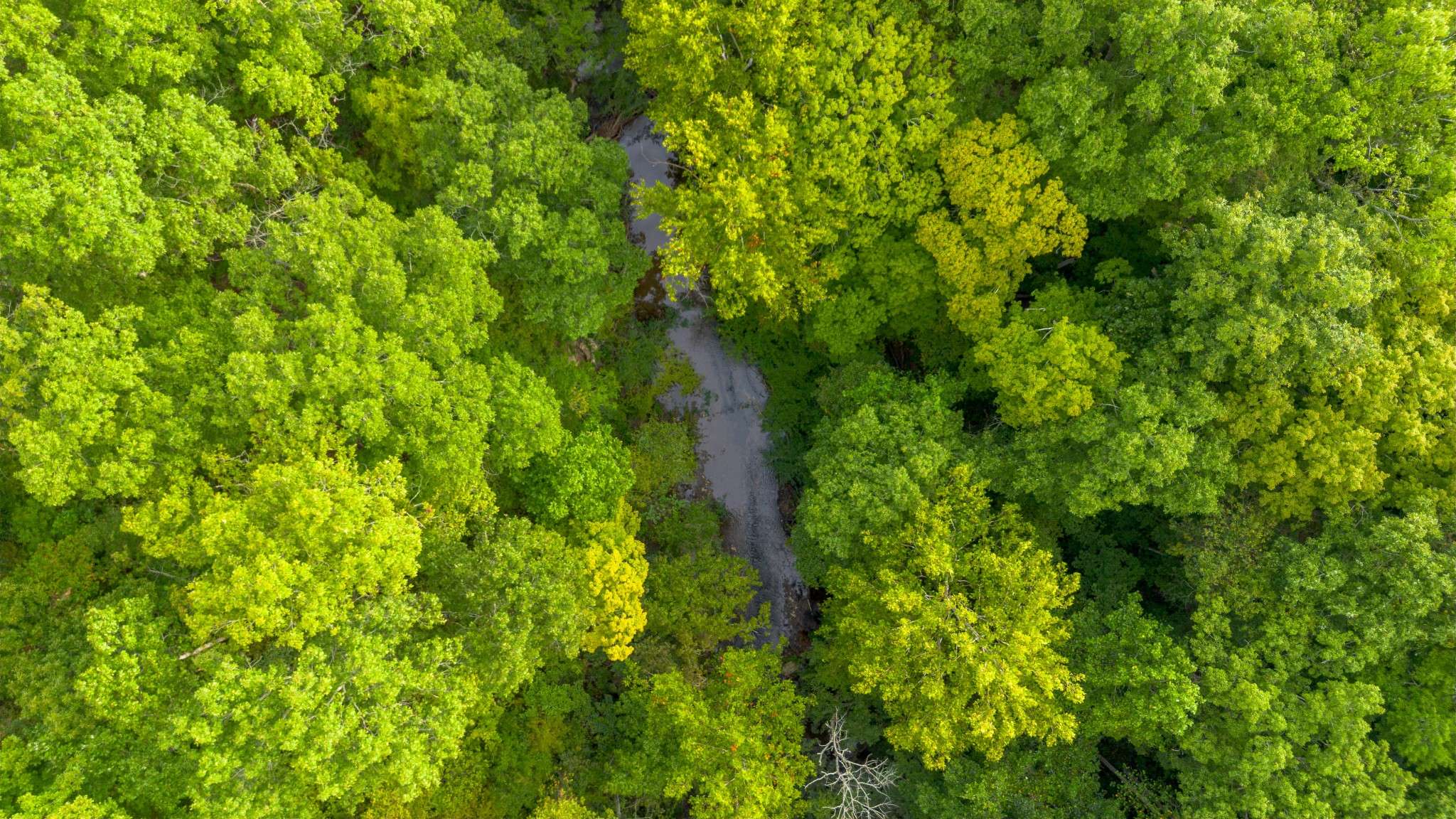 1 Ccc Road, Fairview, TN 37062