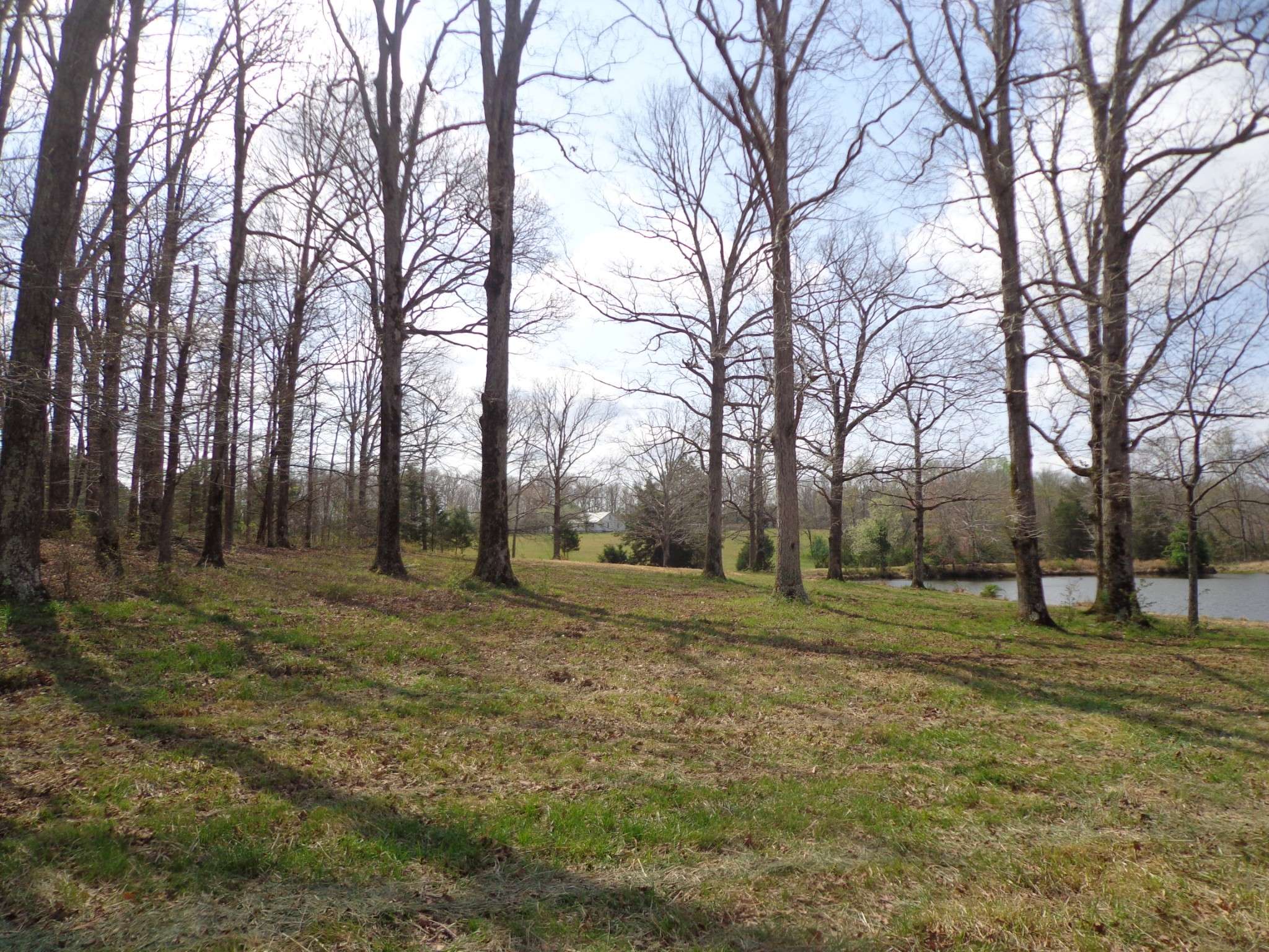 1551 Tennessee Ridge Road, Waverly, TN 37185