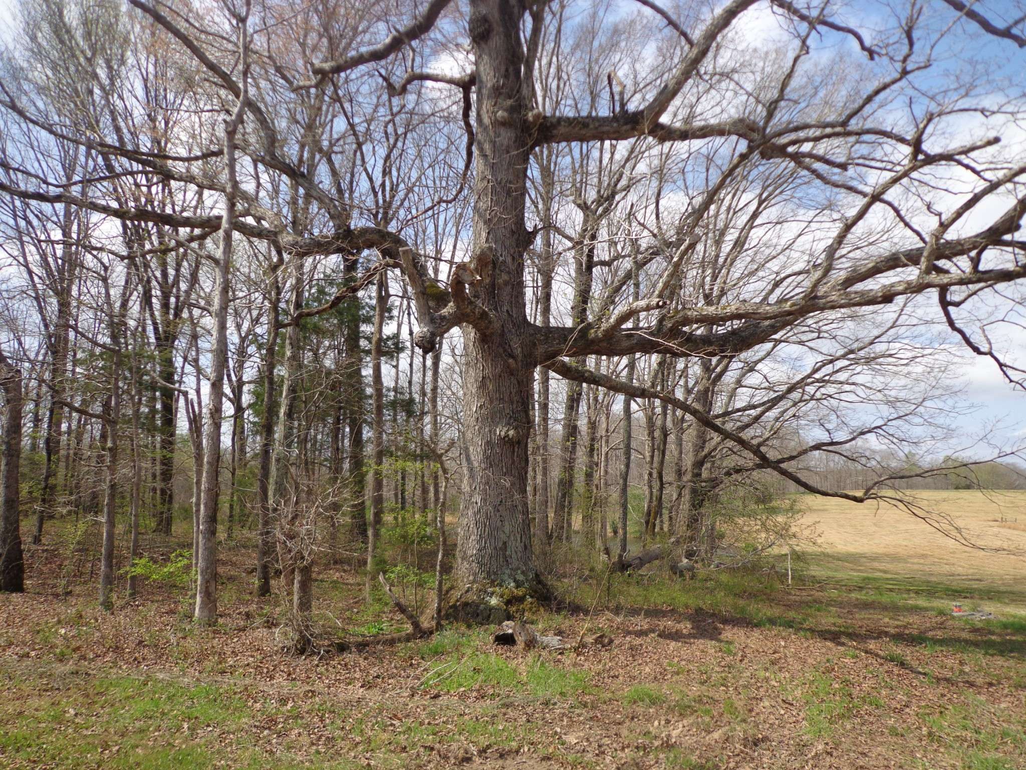 1551 Tennessee Ridge Road, Waverly, TN 37185