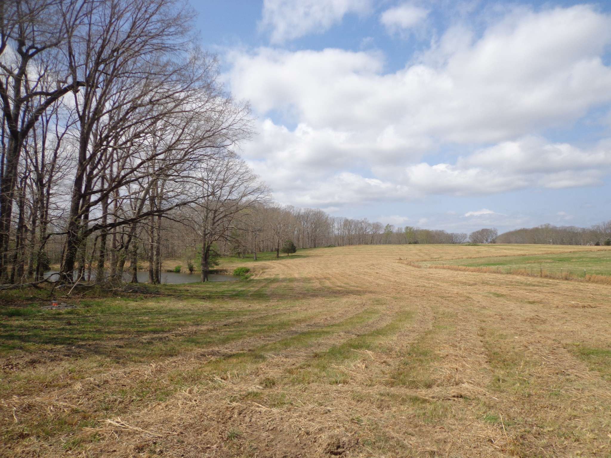 1551 Tennessee Ridge Road, Waverly, TN 37185