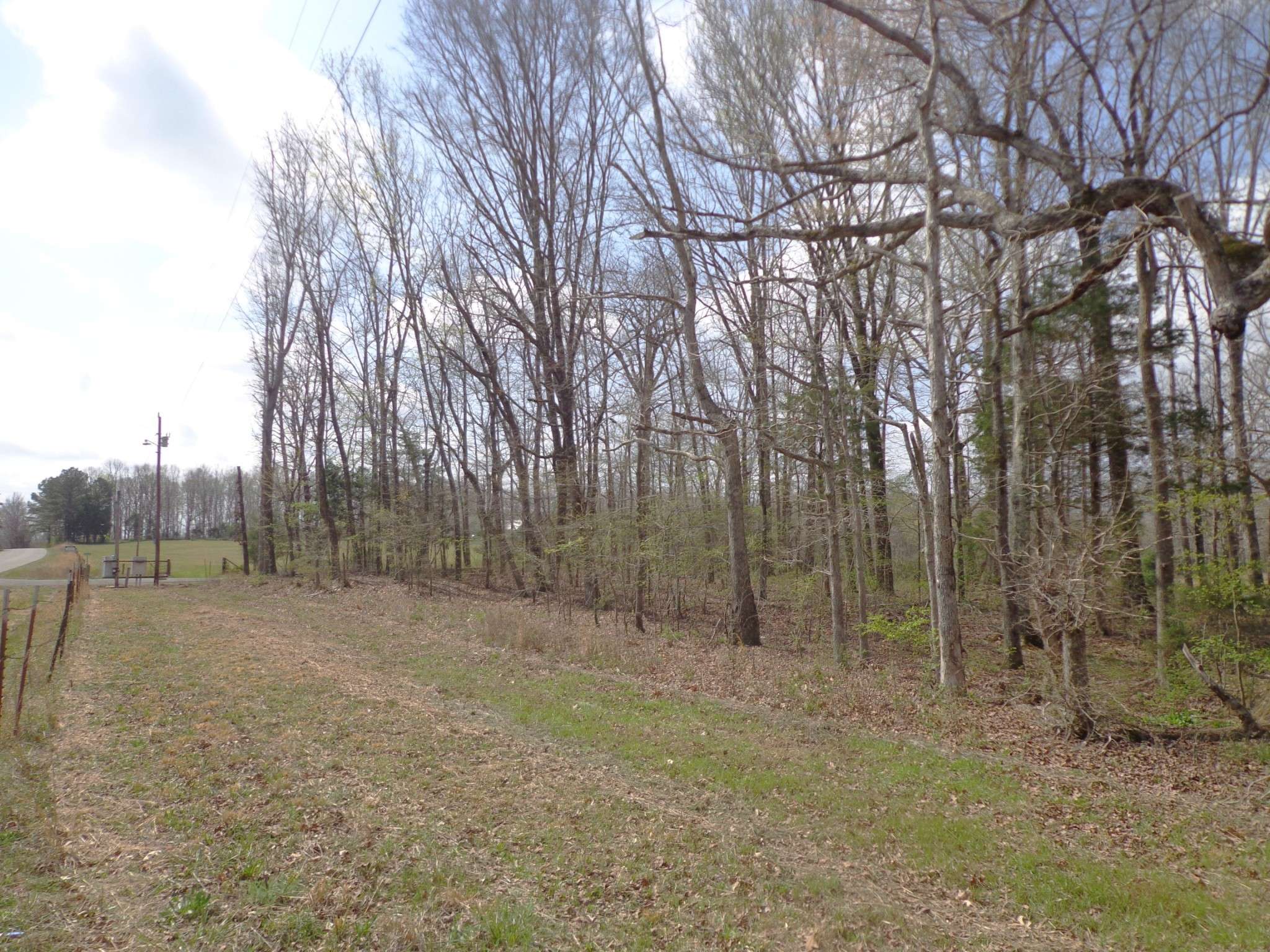 1551 Tennessee Ridge Road, Waverly, TN 37185