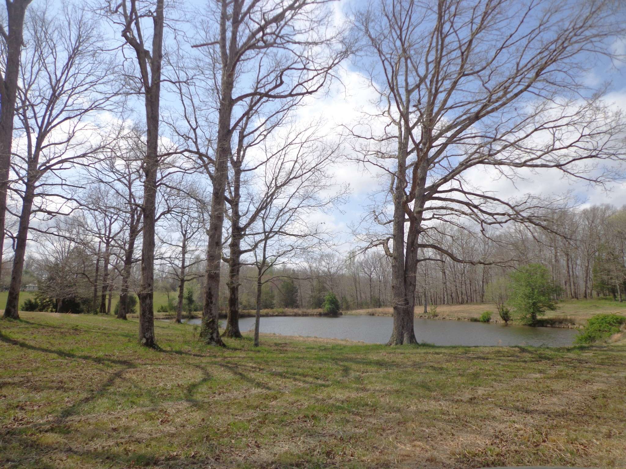 1551 Tennessee Ridge Road, Waverly, TN 37185