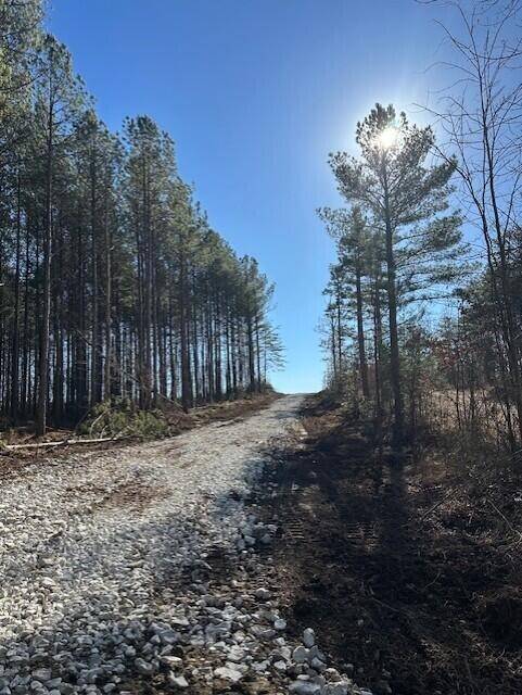 1 50th Avenue, Gruetli Laager, TN 37339