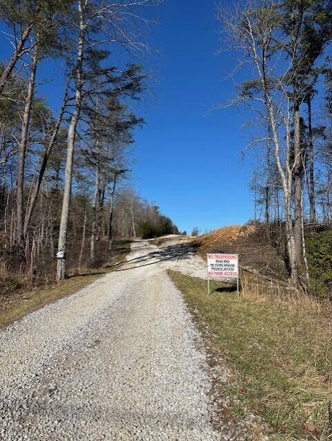 1 50th Avenue, Gruetli Laager, TN 37339
