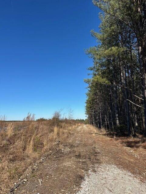 2 50th Avenue, Gruetli Laager, TN 37339