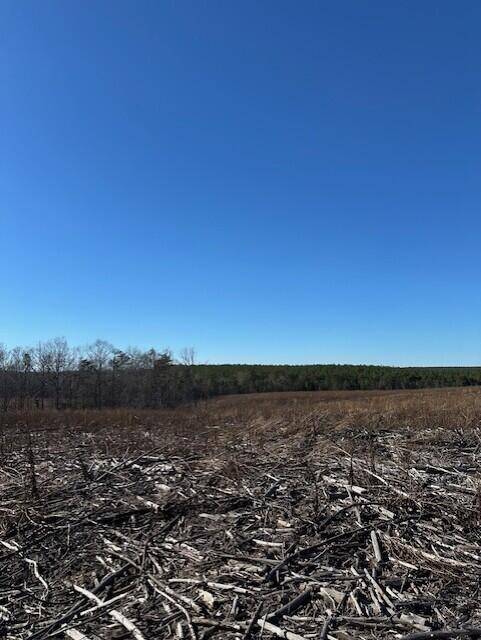 2 50th Avenue, Gruetli Laager, TN 37339