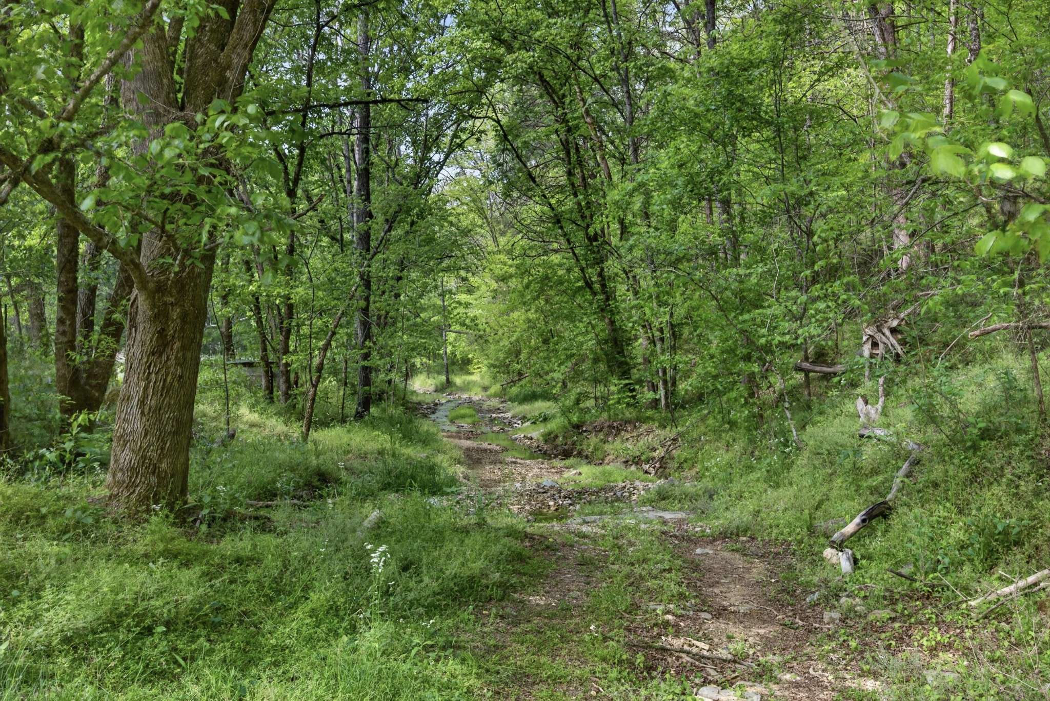 700 Ben Birdwell Ln, Bloomington Springs, TN 38545