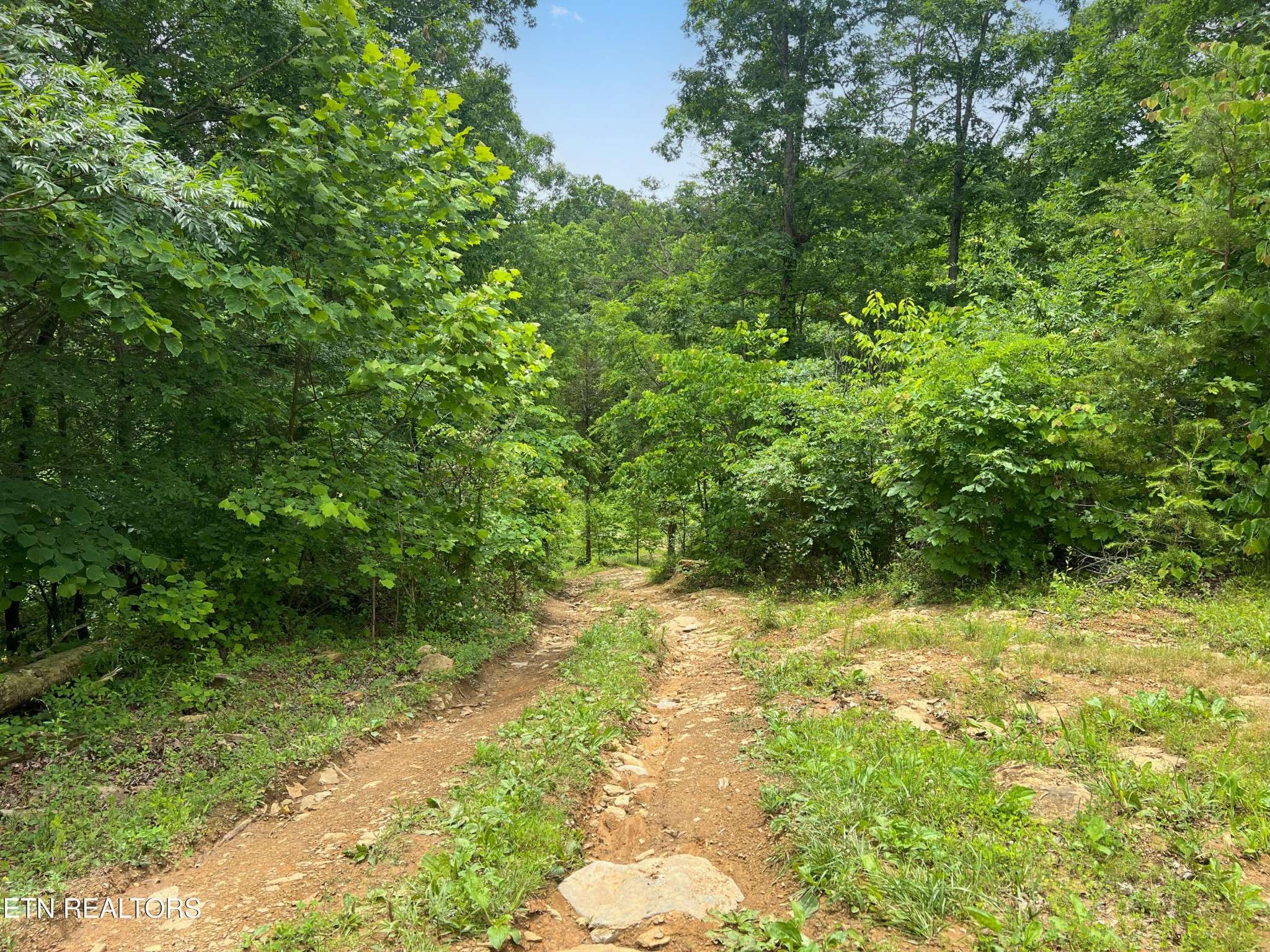 185 Green Rd, Bulls Gap, TN 37711