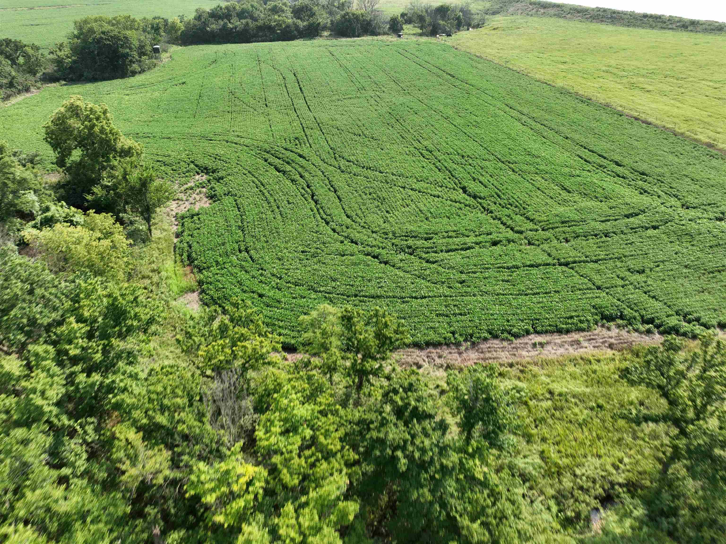 0 Coyote Rd., Gridley, KS 66852