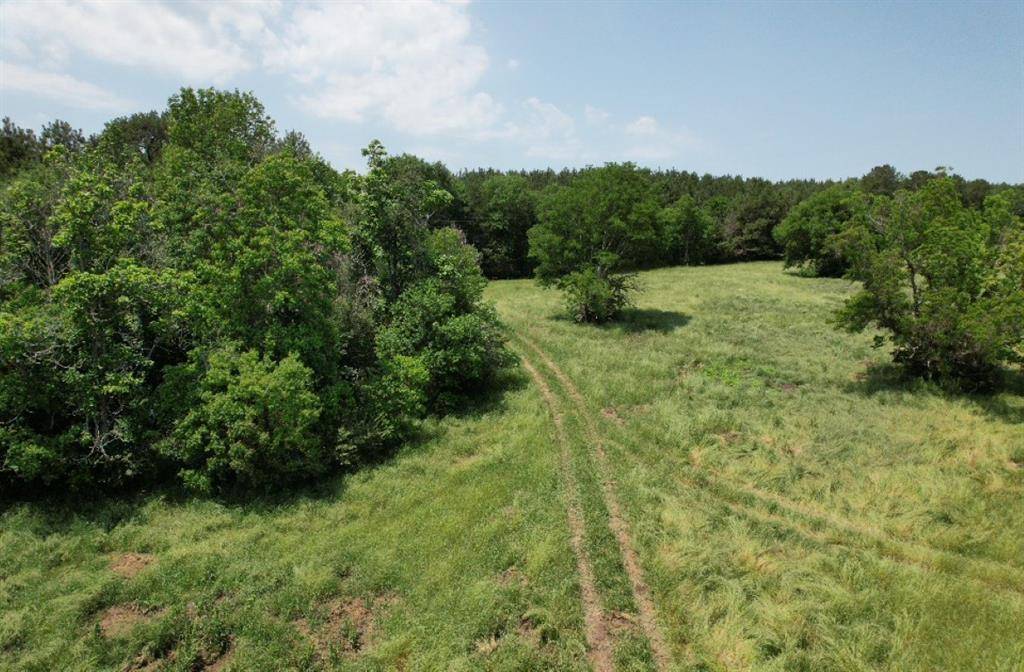 TBD-C County Road 4653, Tenaha, TX 75974
