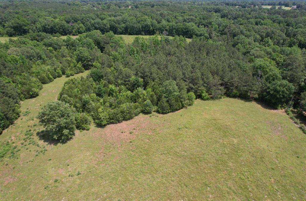 TBD-C County Road 4653, Tenaha, TX 75974