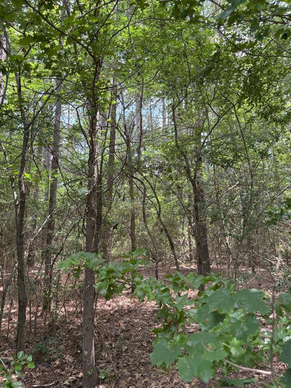TBD County Road 425, Tenaha, TX 75974