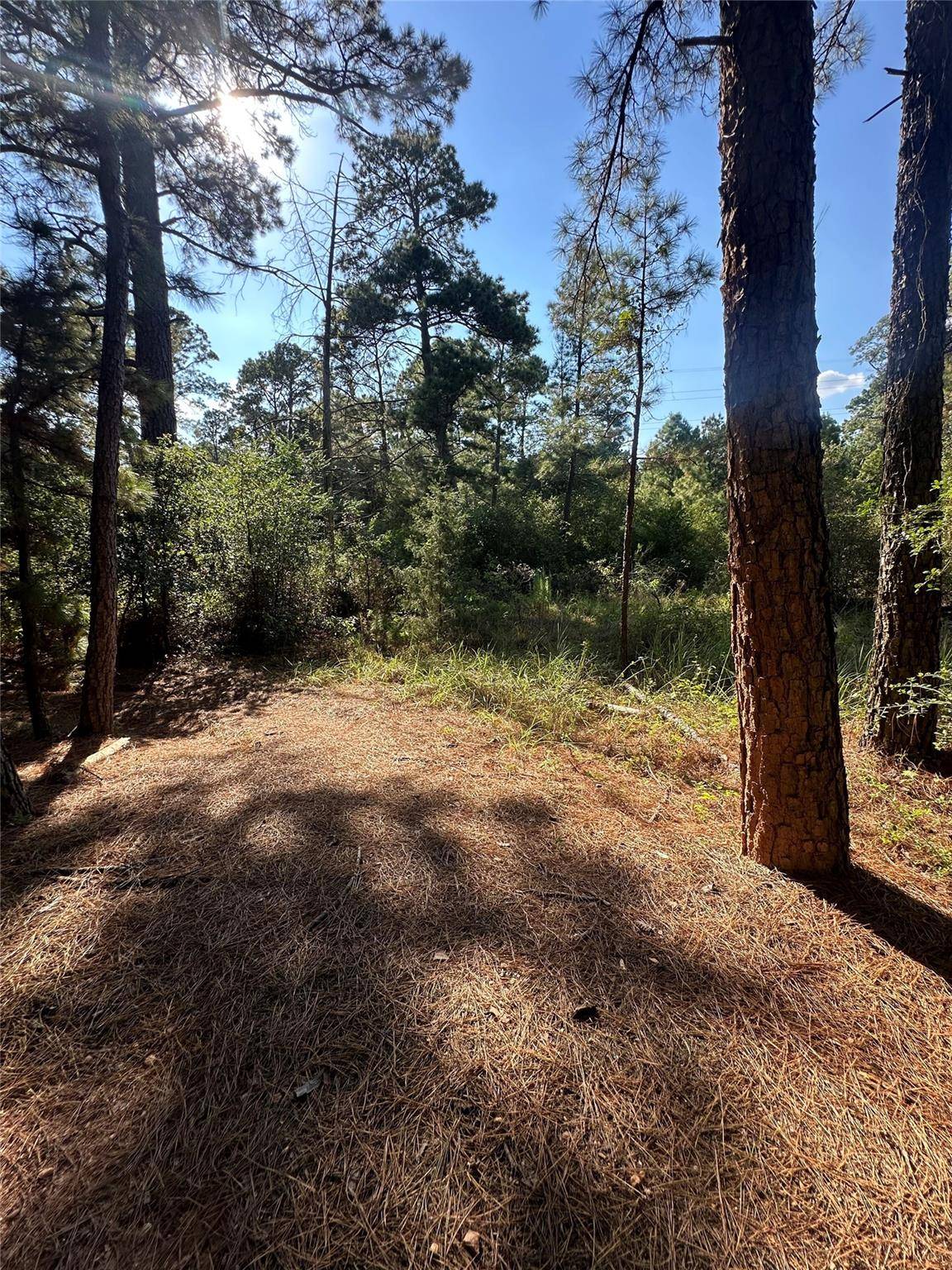 0 Pine Oak DR, Bastrop, TX 78602