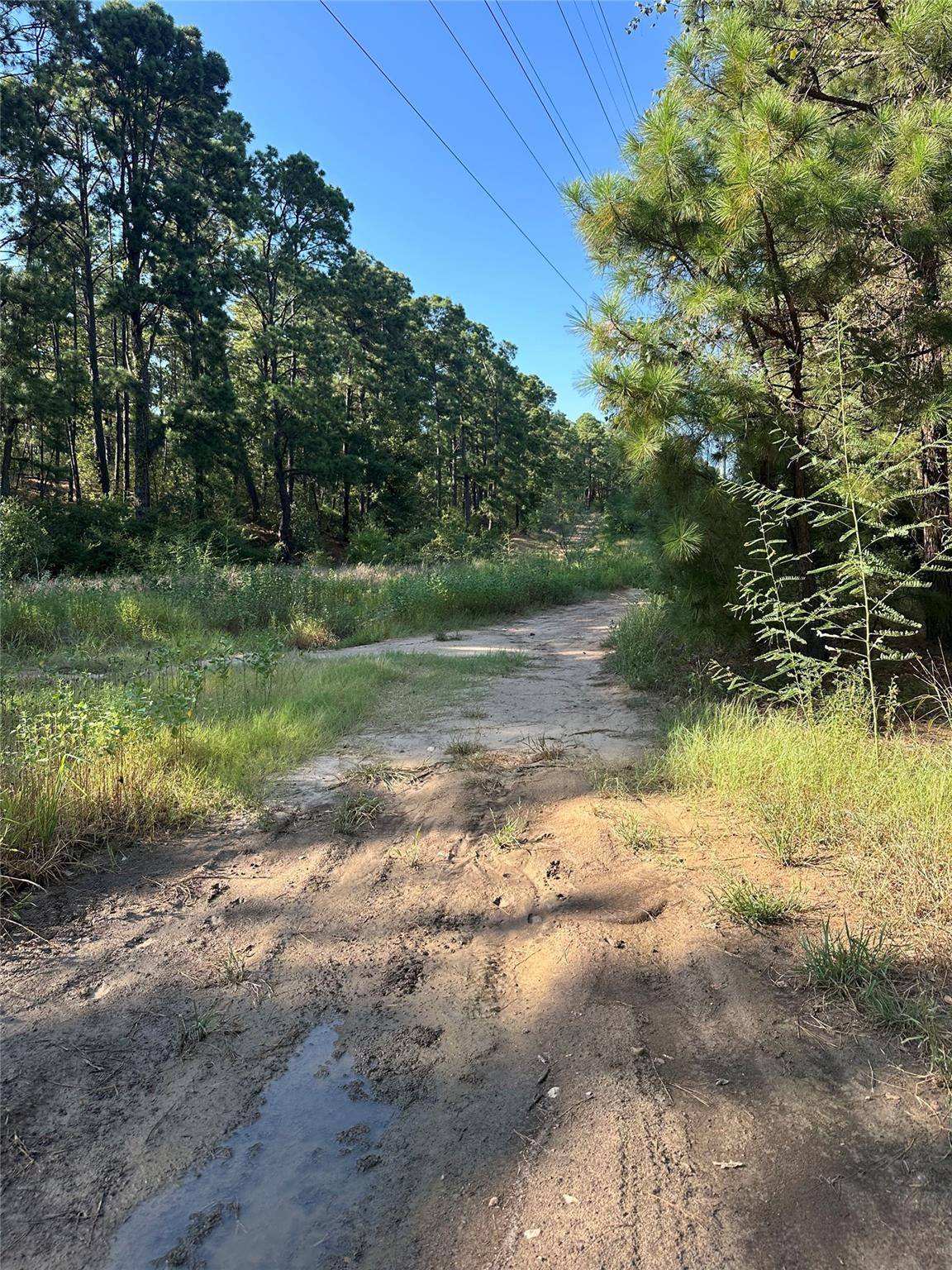 0 Pine Oak DR, Bastrop, TX 78602