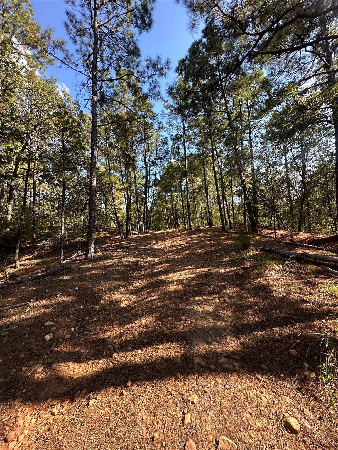 0 Pine Oak DR, Bastrop, TX 78602