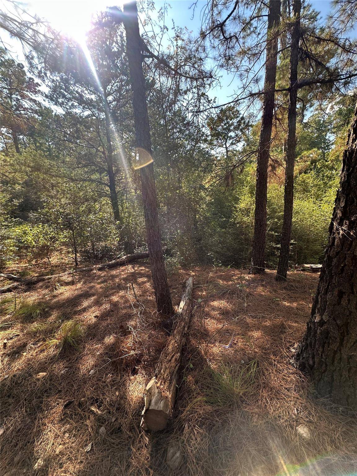 0 Pine Oak DR, Bastrop, TX 78602