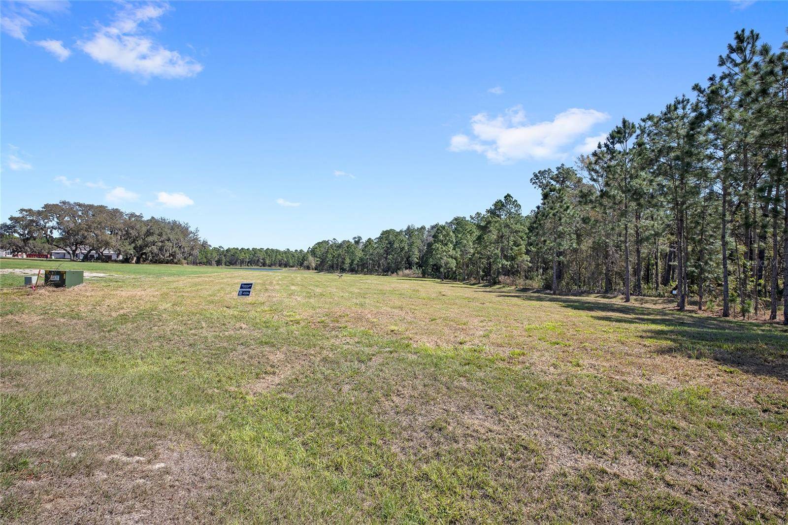 20280 SHORELINE RANCH LN, Umatilla, FL 32784