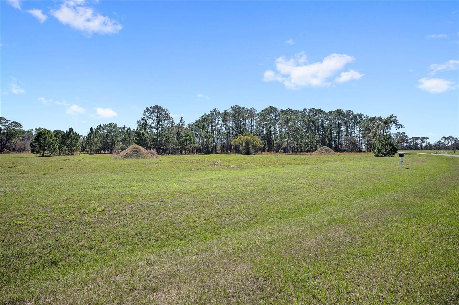 38514 WOODED MEADOW DR, Umatilla, FL 32784
