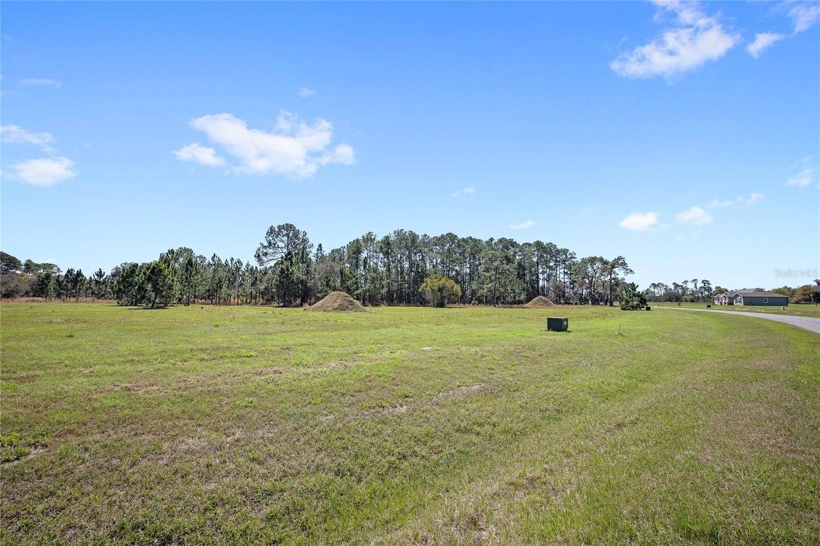 38514 WOODED MEADOW DR, Umatilla, FL 32784