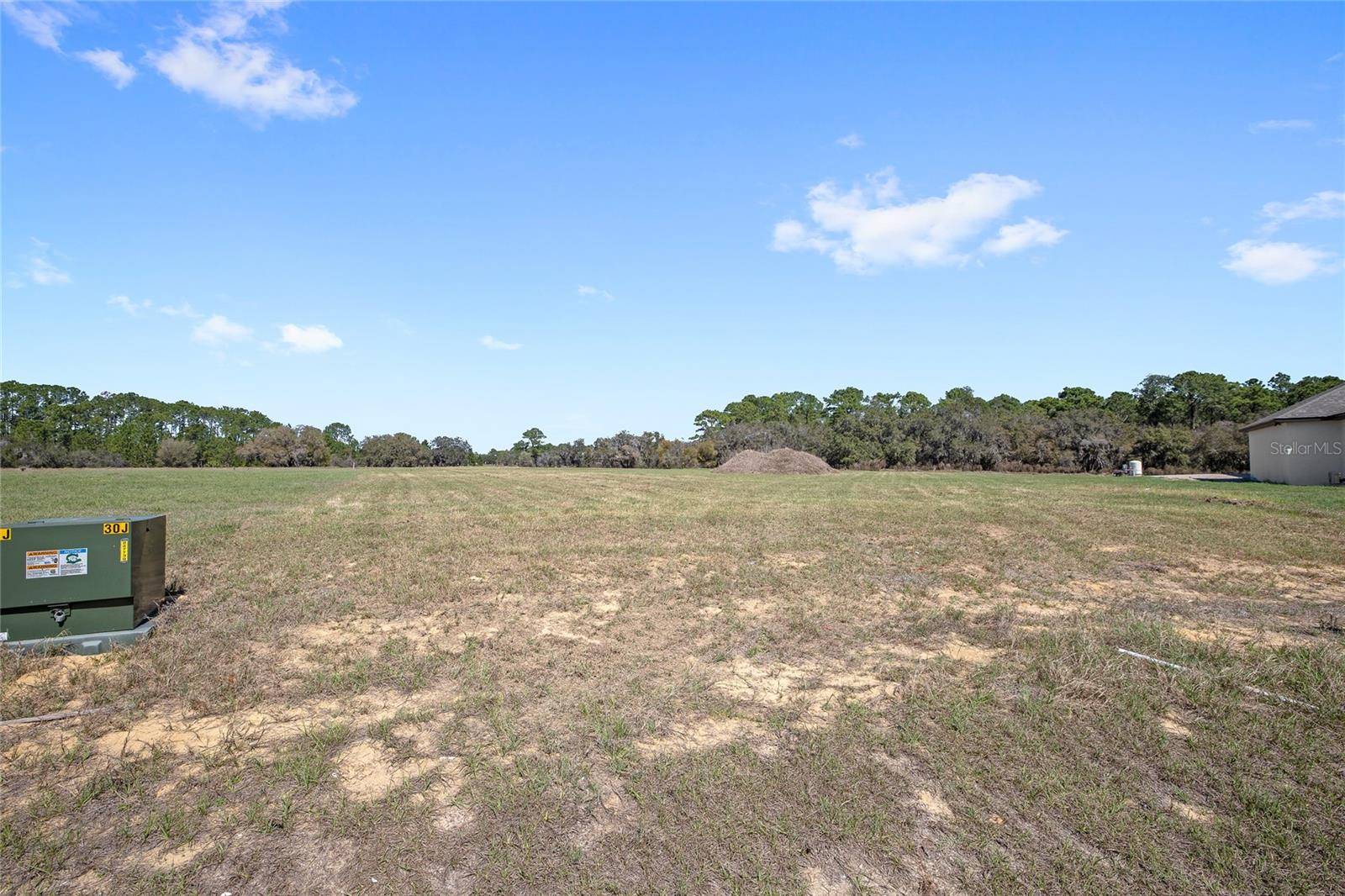 38361 LAKE MEADOW CT, Umatilla, FL 32784