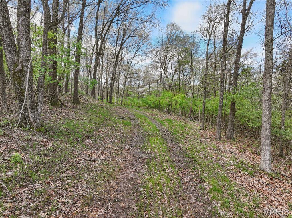 16404 Clayton RD, Wildwood, MO 63011