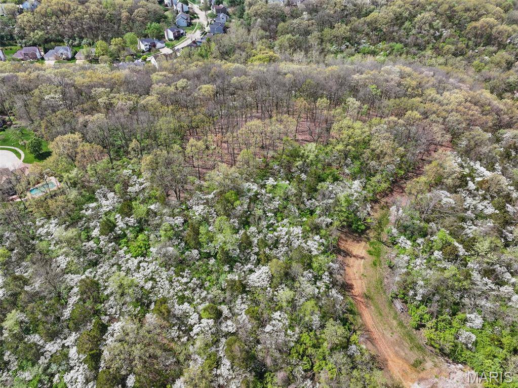 16404 Clayton RD, Wildwood, MO 63011