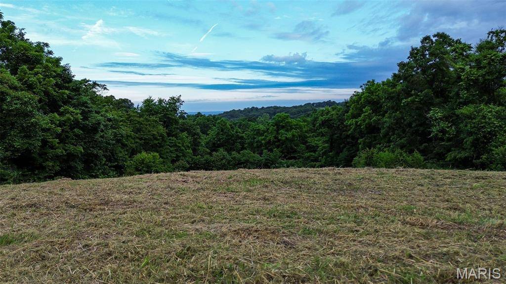 2251 Plummer Hill RD, Hardin, IL 62047