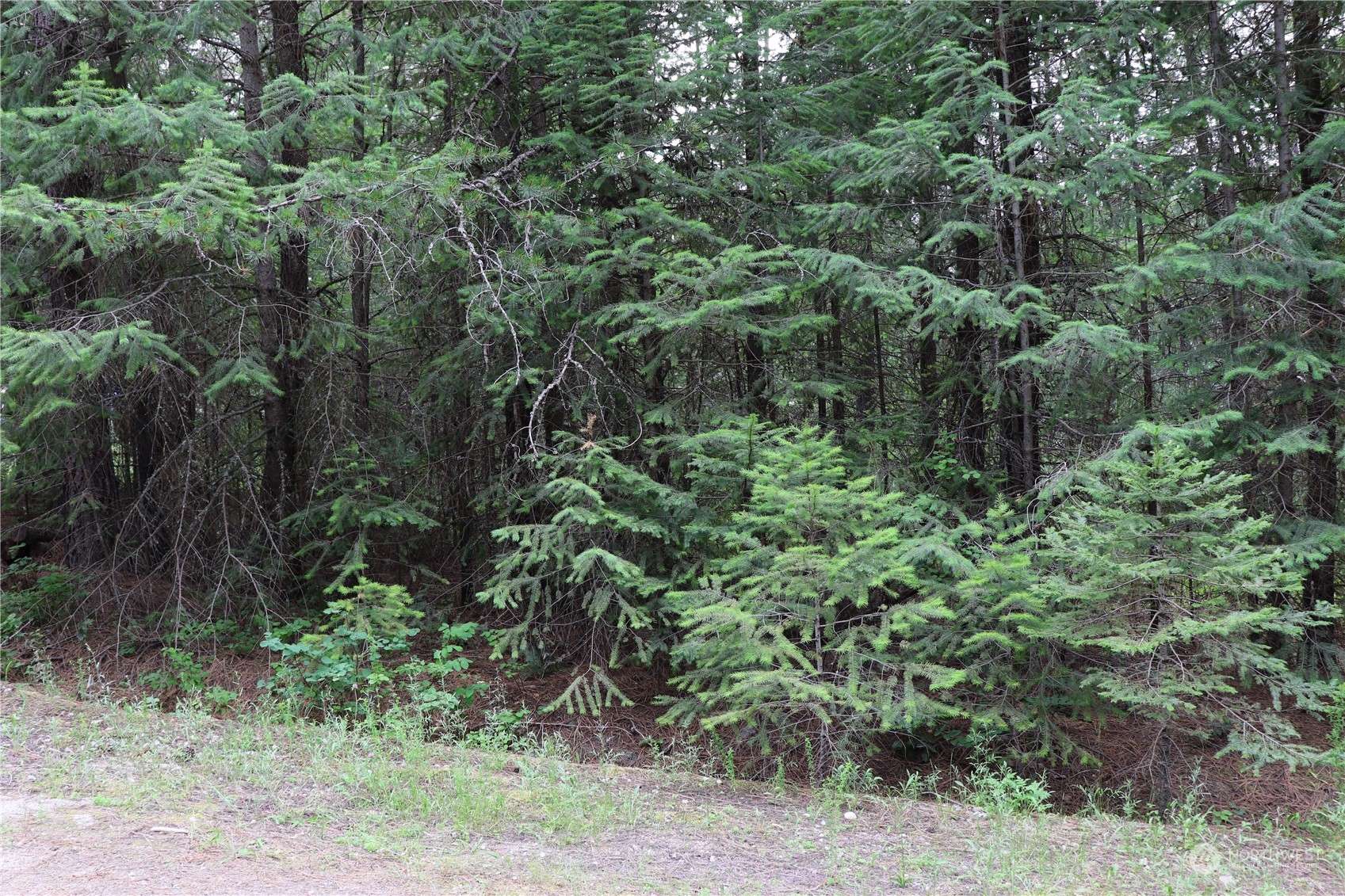 0 Lot 5 Diamond DR, Newport, WA 99156