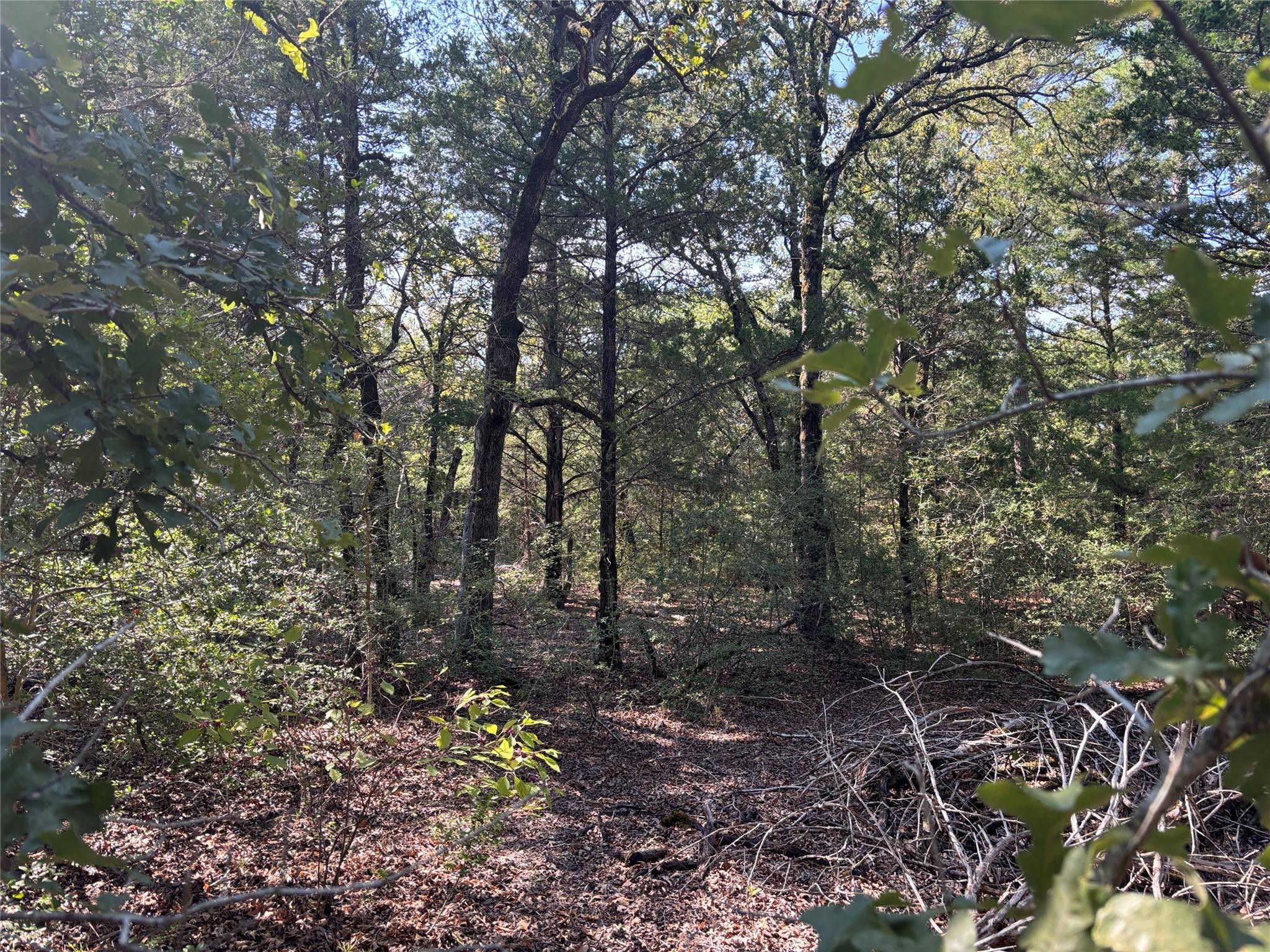 667 Paint Creek South RD, Paige, TX 78659