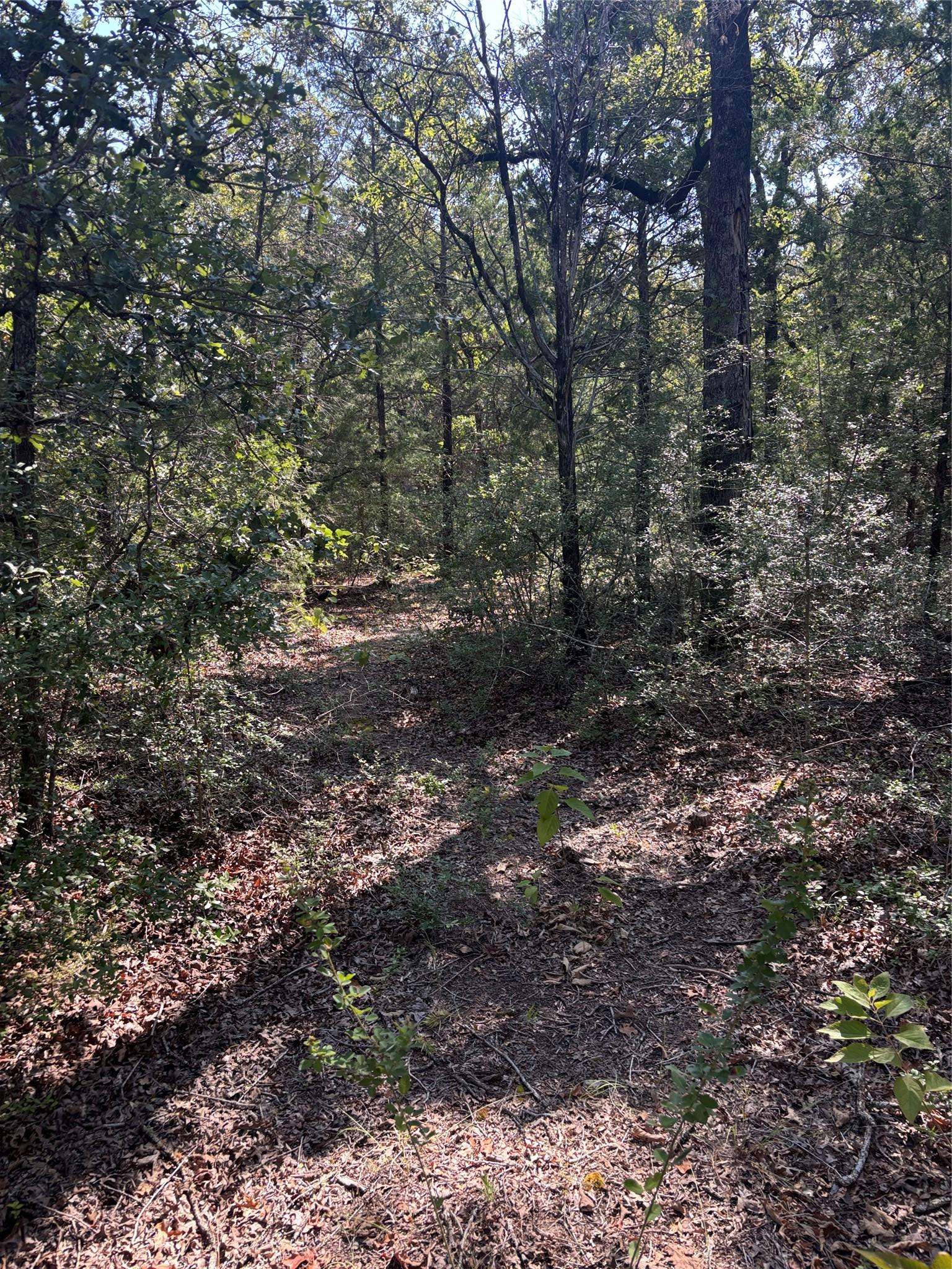 667 Paint Creek South RD, Paige, TX 78659