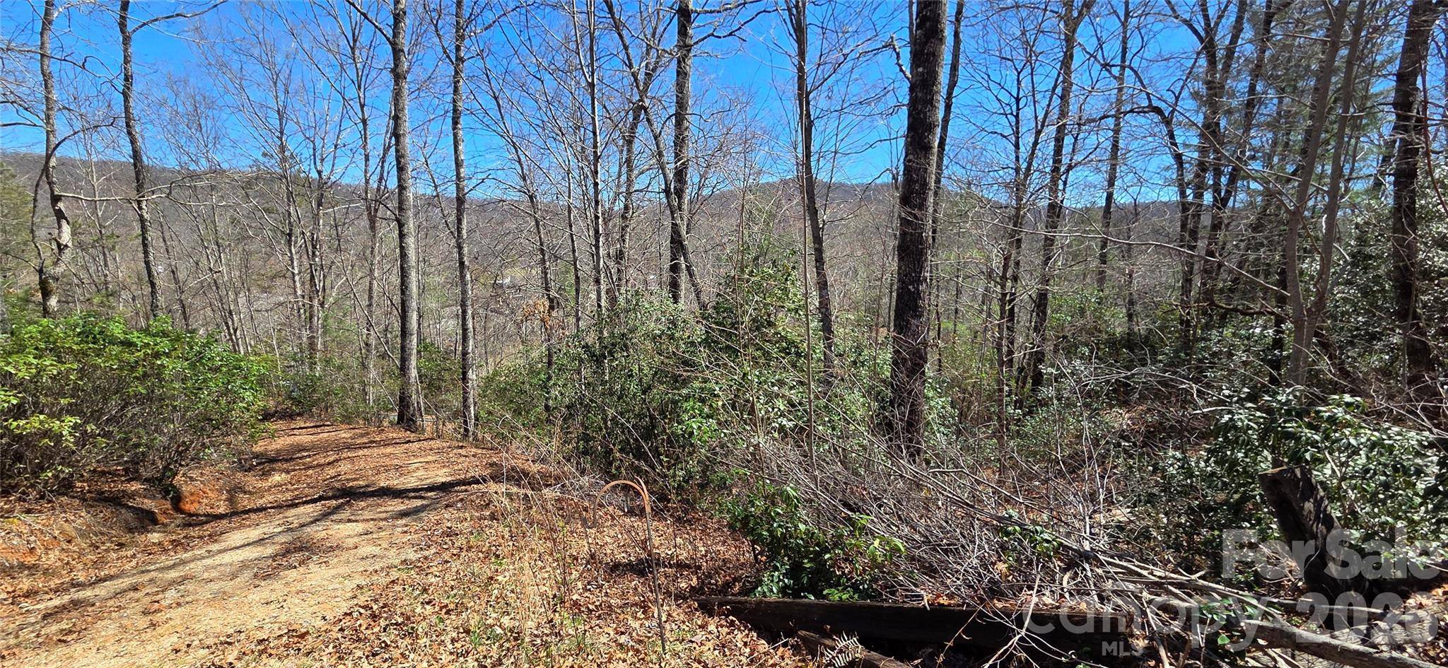90 Kimiko LN S #30&31, Balsam Grove, NC 28708
