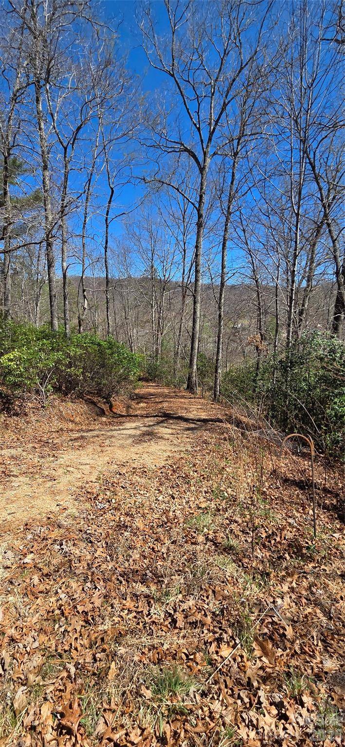 90 Kimiko LN S #30&31, Balsam Grove, NC 28708