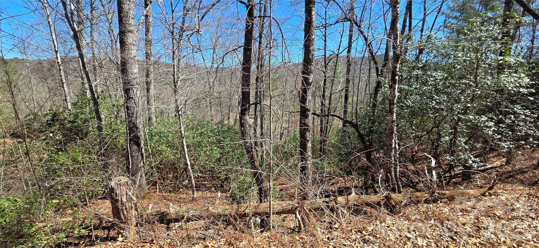 90 Kimiko LN S #30&31, Balsam Grove, NC 28708