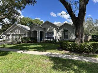 3907 ROLLING TERRACE LN, Valrico, FL 33596