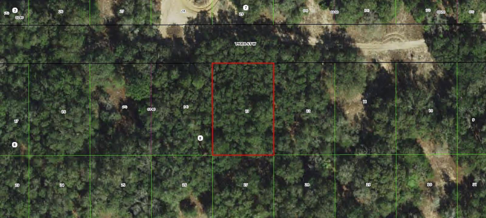 2911 TYLER ST, Inverness, FL 34453
