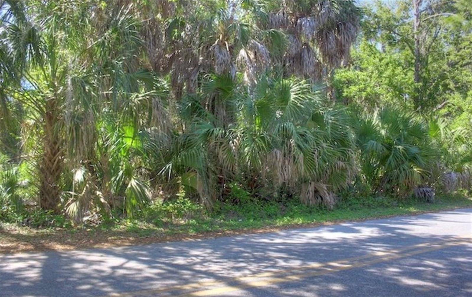 Lot 2 SW 165TH AVE, Cedar Key, FL 32625