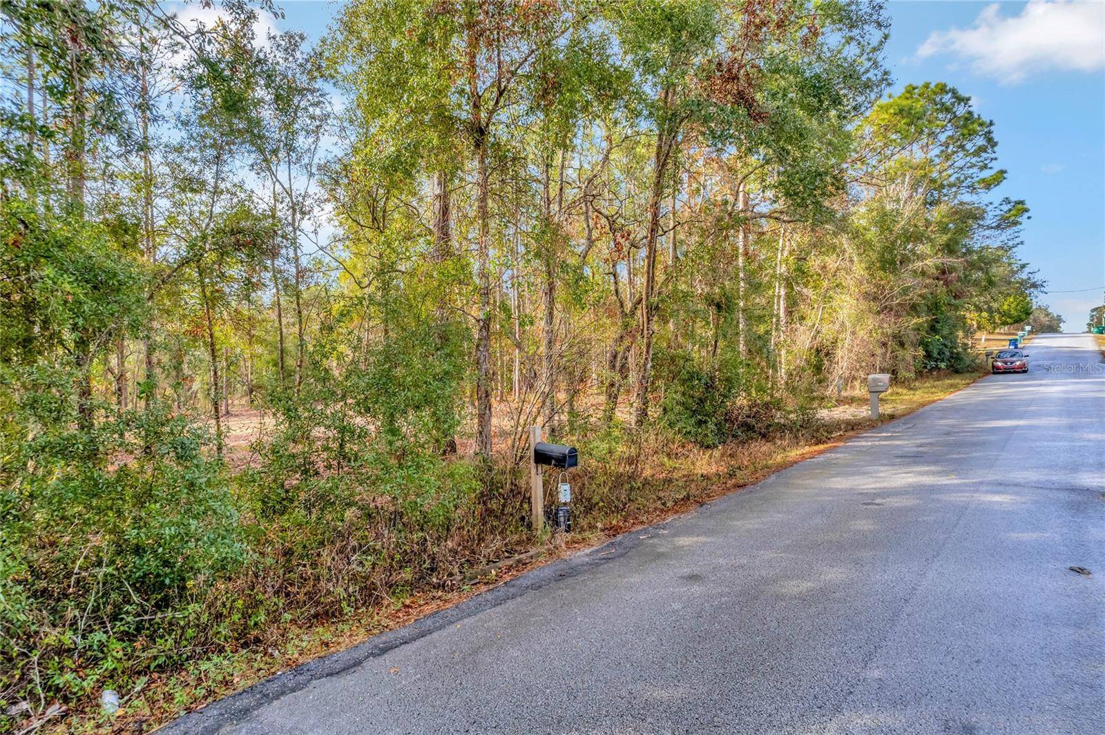 1716 E BISMARK ST, Hernando, FL 34442