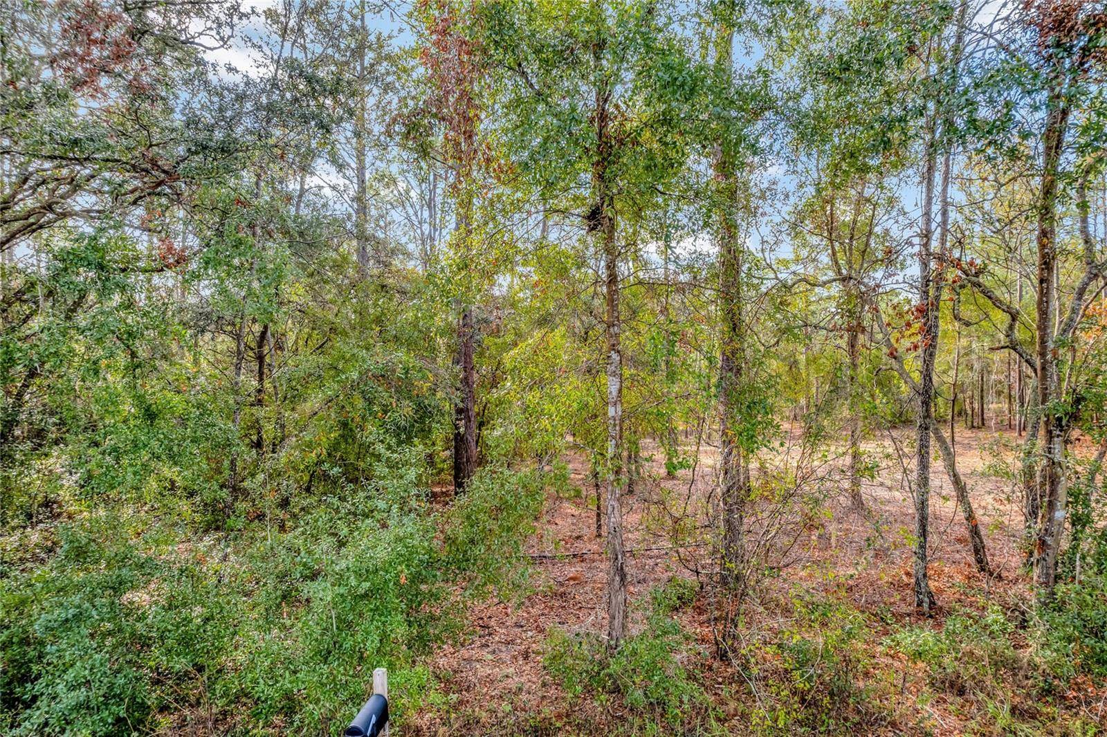 1716 E BISMARK ST, Hernando, FL 34442