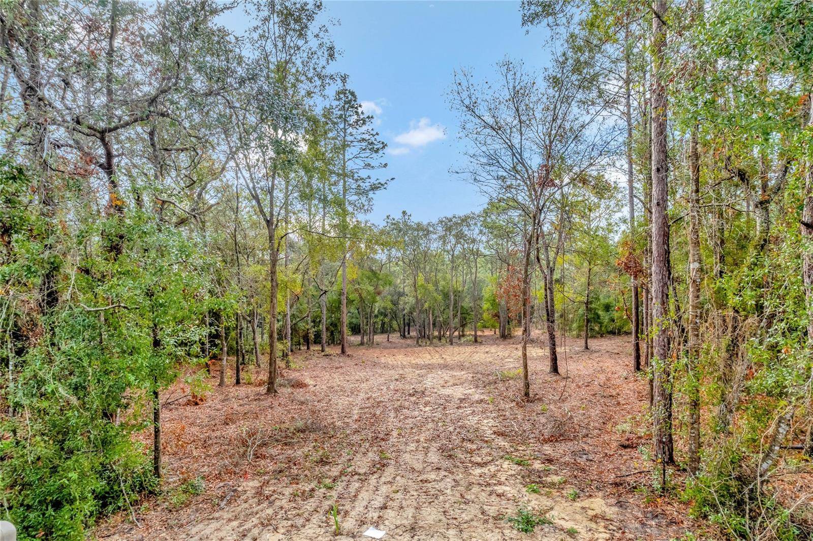 1716 E BISMARK ST, Hernando, FL 34442